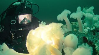 West Harbour Heroes S01E03 1080p HEVC x265-MeGusta
